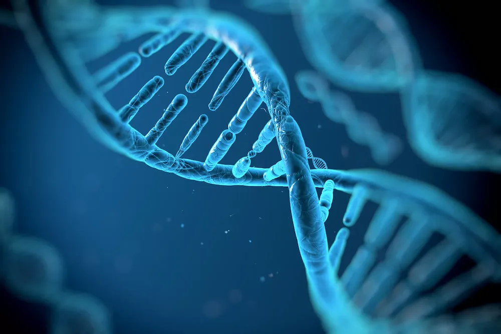 DNA Fragmentation Index